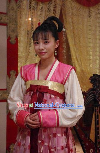 Chinese Traditional Tang Dynasty Palace Lady Court Maid Embroidered Dress Replica Costume for Women