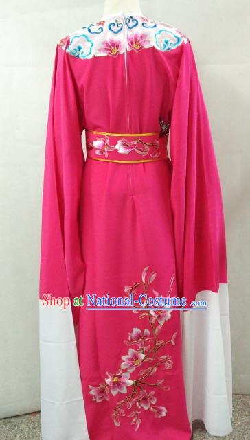 Traditional China Beijing Opera Costume Gifted Scholar Embroidered Robe and Hat Ancient Chinese Peking Opera Embroidery Clothing