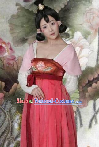 Ancient Chinese Tang Dynasty Palace Lady Wu Meiniang Hanfu Dress Replica Costume for Women