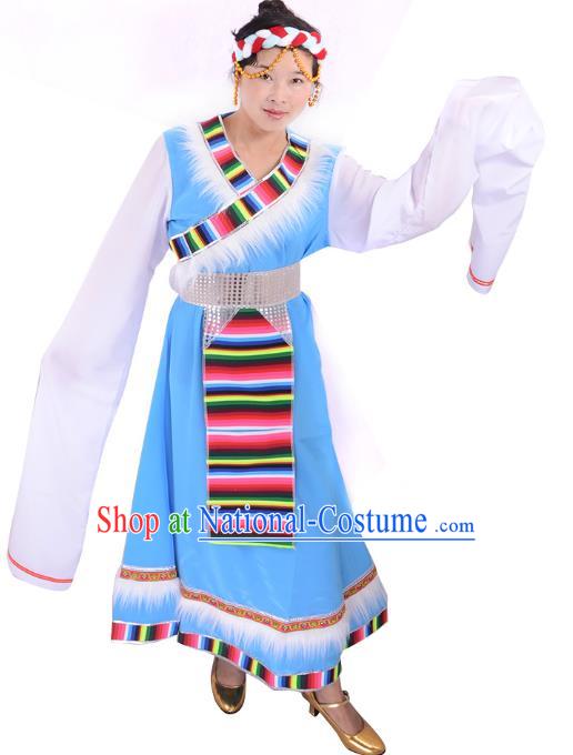 Traditional Chinese Zang Nationality Dance Costume, Tibetan Female Folk Dance Ethnic Minority Embroidery Blue Dress for Women