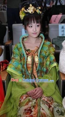 Traditional Chinese Ancient Palace Lady Tang Dynasty Embroidered Dress Replica Costume for Women