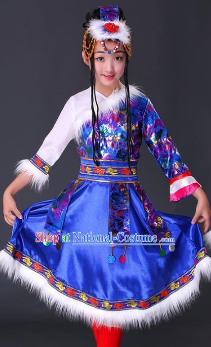 Traditional Chinese Zang Nationality Dance Costume, Chinese Folk Dance Ethnic Clothing Tibetan Minority Blue Dress for Women