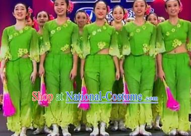 Chinese Traditional Folk Dance Costume Yangge Dance Green Uniform Classical Dance Yangko Clothing for Women