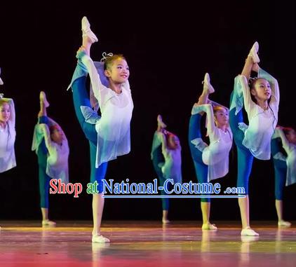 Top Grade Stage Performance Ballet Dance Costume, Professional Classical Dance Blue Dress for Kids