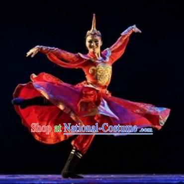 Traditional Chinese Folk Dance Embroidered Costume, China Mongol Nationality Dress Clothing for Women