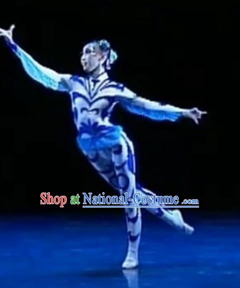 Traditional Chinese Folk Dance Ballet Costume, China Classical Dance Dress Clothing for Women