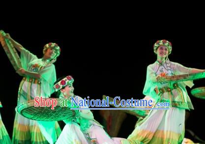 Traditional Chinese National Minority Dance Costume, China Folk Dance Stage Performance Dance Dress Clothing for Women