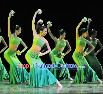 Chinese Traditional Folk Dance Stage Performance Costume, China Classical Dance Pavane Dress Clothing for Women