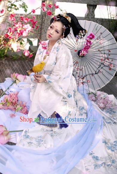 Chinese Ancient Palace Lady Hanfu Han Dynasty Imperial Concubine Queen Embroidered Historical Costumes for Women