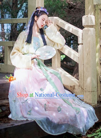 Chinese Ancient Young Lady Costumes Traditional Song Dynasty Imperial Princess Embroidered Hanfu Dress for Women