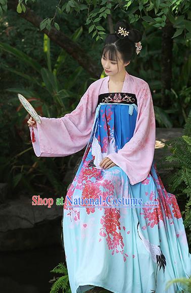 Chinese Ancient Peri Printing Crane Blue Hanfu Dress Tang Dynasty Princess Costumes for Rich Women