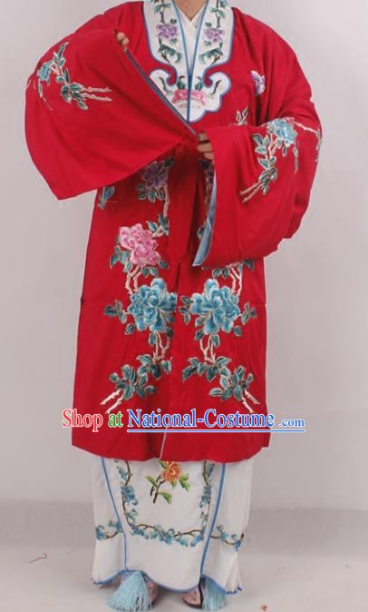 Traditional China Beijing Opera Costume Gifted Scholar Embroidered Robe and Hat Ancient Chinese Peking Opera Embroidery Clothing