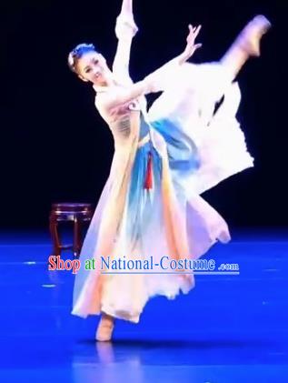 Chinese Traditional Folk Dance Costume Classical Dance Dress for Women