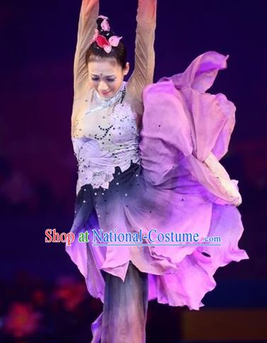 Chinese Traditional Folk Dance Costume Classical Dance Purple Dress for Women