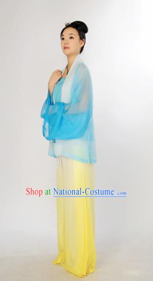 Chinese Ancient Hanfu Traditional Jin Dynasty Embroidered Historical Costumes