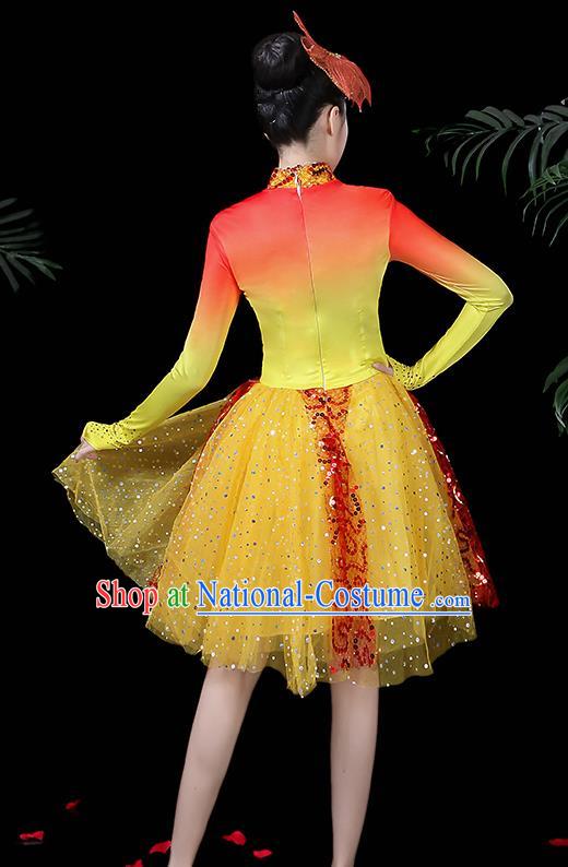 Traditional Chinese Fan Dance Folk Dance Costume Classical Yangko Dance Classical Dance Dress