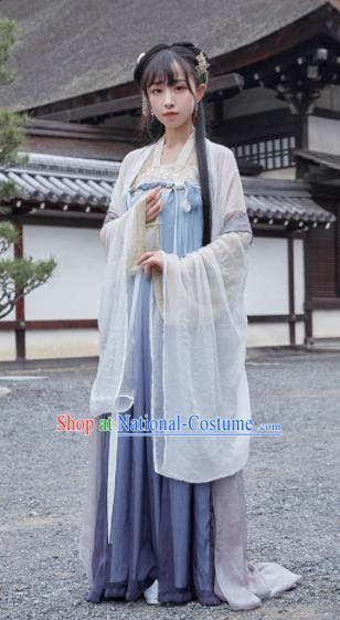 Chinese Ancient Drama Princess Hanfu Dress Traditional Tang Dynasty Palace Replica Costumes for Women