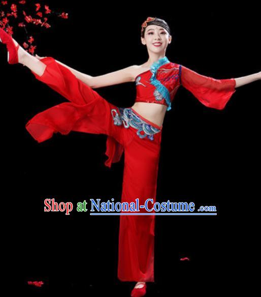 Traditional Chinese Folk Dance Single Sleeve Costumes Fan Dance Yangko Dance Red Clothing for Women