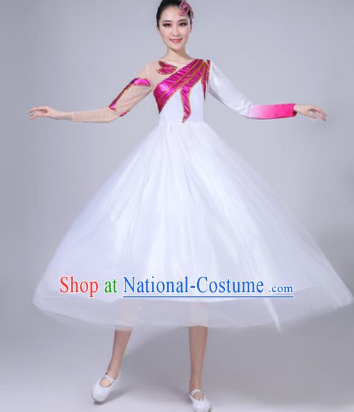 Top Grade Chorus Stage Show Costumes Group Dance Modern Dance White Veil Dress for Women