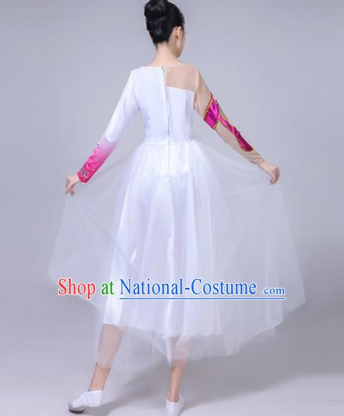 Top Grade Chorus Stage Show Costumes Group Dance Modern Dance White Veil Dress for Women