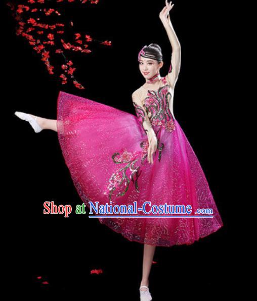 Top Grade Modern Dance Stage Show Costumes Chorus Group Dance Rosy Veil Dress for Women