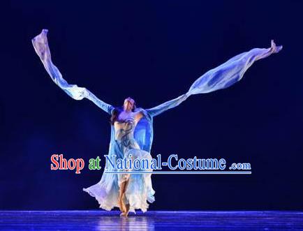 Chinese Traditional Classical Dance Costumes Umbrella Dance Water Sleeve Clothing for Women