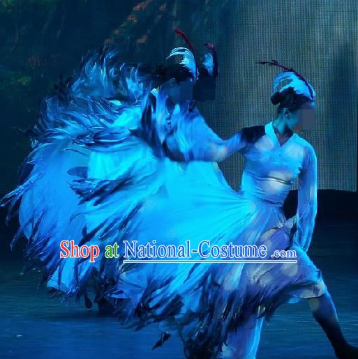 Chinese Traditional Classical Dance Costumes Group Dance Stage Performance Dress for Women