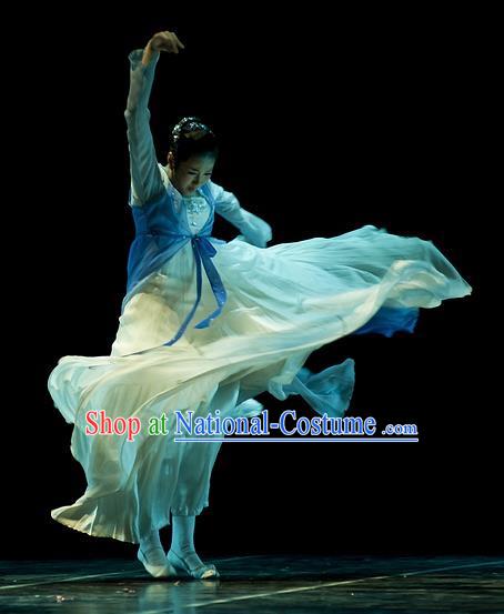 Chinese Traditional Classical Dance Costumes Stage Performance Folk Dance Blue Dress for Women