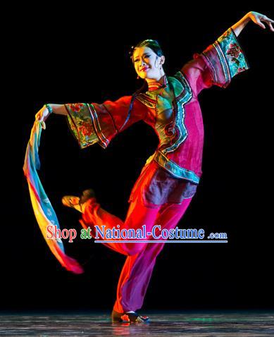 Chinese Traditional Classical Dance Costumes Stage Performance Yanko Dance Clothing for Women