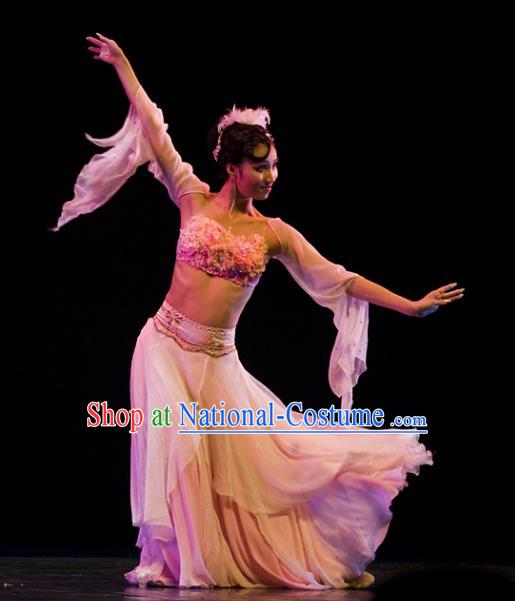 Chinese Traditional Classical Dance Group Dance Costumes Stage Performance Pink Dress for Women