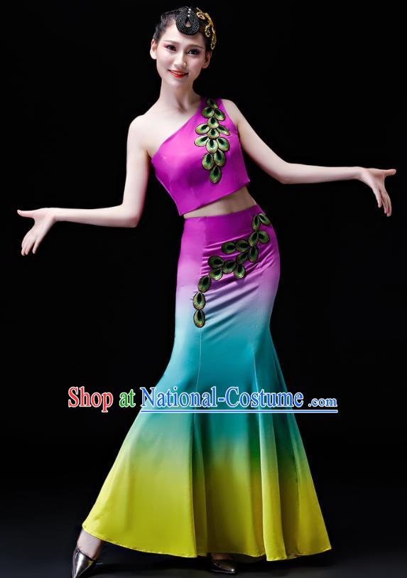 Chinese Traditional Folk Dance Costumes Peacock Dance Group Dance Purple Dress for Women