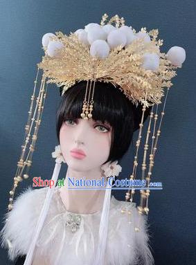 Traditional Chinese Deluxe Golden Tassel Phoenix Coronet Hair Accessories Halloween Stage Show Headdress for Women