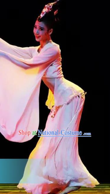 Traditional Chinese Classical Dance Competition Pink Costumes Water Sleeve Dance Stage Show Dress for Women