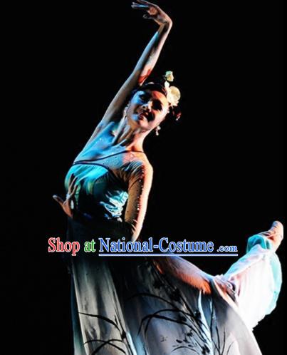 Traditional Chinese Classical Dance Competition Costumes Orchid Dance Stage Show Dress for Women