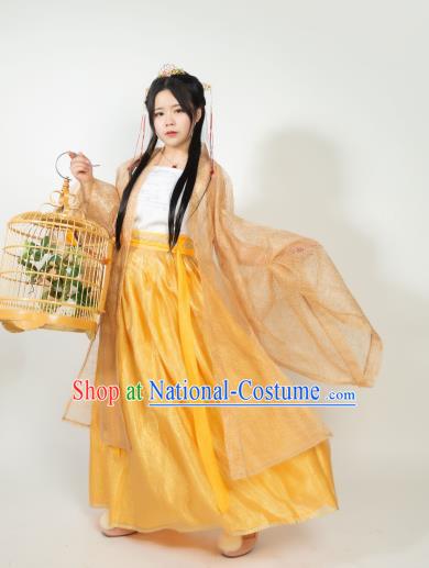 Ancient Chinese Song Dynasty Princess Hanfu Dress Nobility Lady Embroidered Historical Costumes for Women