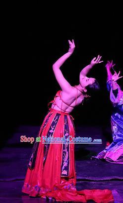 Chinese Dreaming In Hometown Classical Dance Red Dress Stage Performance Costume and Headpiece for Women