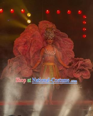 Chinese Dream Like Lijiang Ethnic Dance Dress Stage Performance Costume and Headpiece for Women