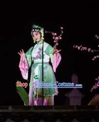 Chinese The Dream Of The Peony Pavilion Opera Maidservant Dance Green Dress Stage Performance Costume and Headpiece for Women