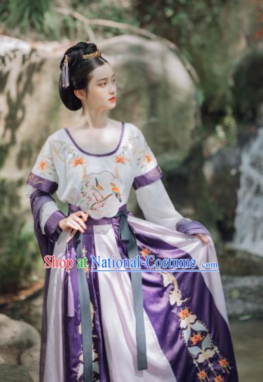 Traditional Chinese Tang Dynasty Court Lady Replica Costumes Ancient Royal Princess Hanfu Dress for Women