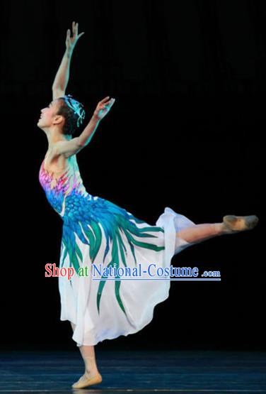 Chinese Female Embroider Classical Dance Dress Stage Performance Costume and Headpiece for Women