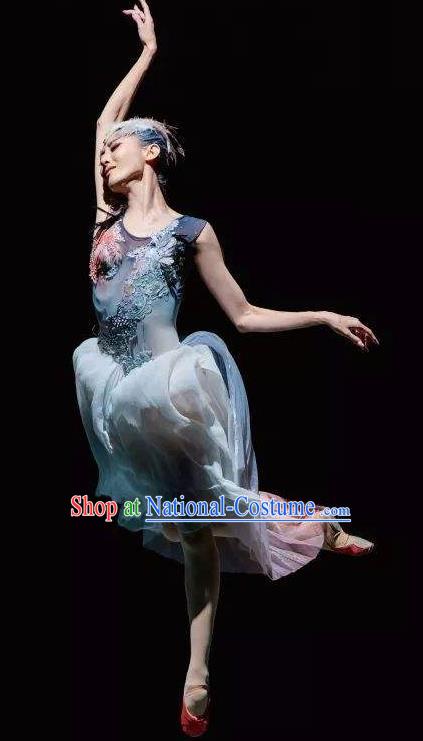 Crested Ibises Chinese Classical Dance Atrovirens Dress Stage Performance Dance Costume and Headpiece for Women