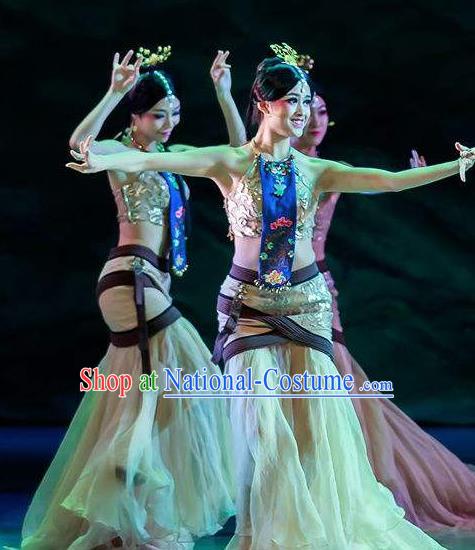 Chinese Lady Zhaojun Court Classical Dance Dress Stage Performance Dance Costume and Headpiece for Women