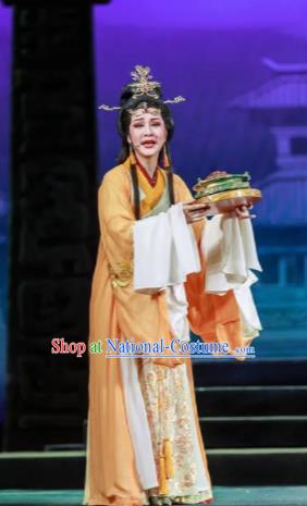 Chinese Shaoxing Opera Bronze Swallow Terrace Zhen Luo Dress Stage Performance Dance Costume and Headpiece for Women