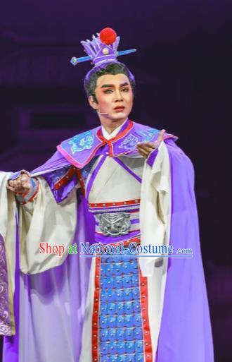 Chinese Shaoxing Opera Bronze Swallow Terrace Clothing Stage Performance Dance Costume for Men