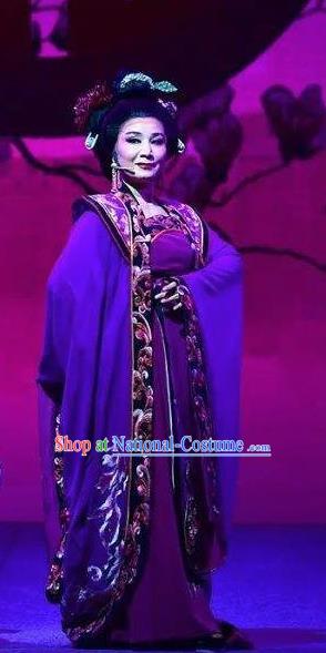 Amber Fate Chinese Beijing Opera Queen Purple Dress Stage Performance Dance Costume and Headpiece for Women