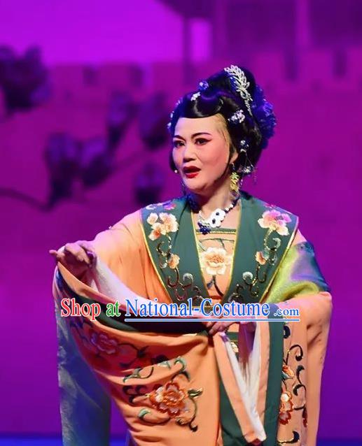 Amber Fate Chinese Beijing Opera Queen Mother Dress Stage Performance Dance Costume and Headpiece for Women