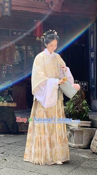 Chinese Traditional Ming Dynasty Historical Costume Ancient Aristocratic Lady Hanfu Dress for Women