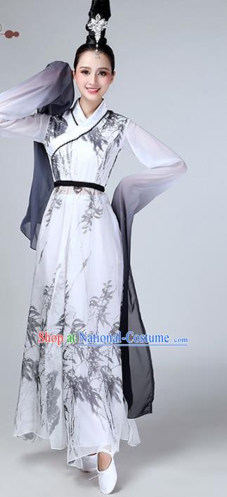 Chinese Traditional Stage Performance Dance Costume Classical Dance Water Sleeve Dress for Women