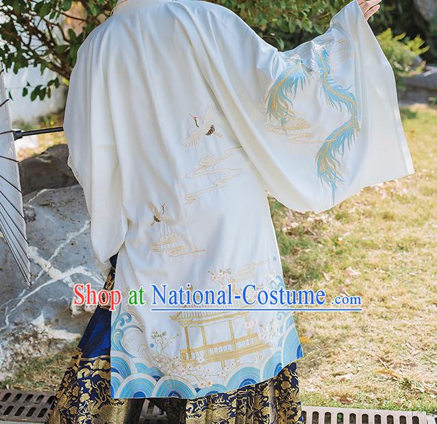 Chinese Ancient Ming Dynasty Imperial Consort Embroidered Historical Costume Complete Set for Women