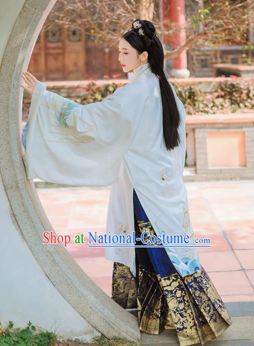 Chinese Ancient Ming Dynasty Imperial Consort Embroidered Historical Costume Complete Set for Women